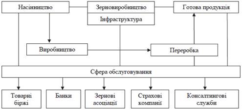 схема функціонування зерновиробництва в україні