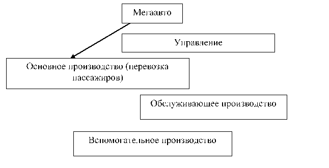 организационная структура ооо 