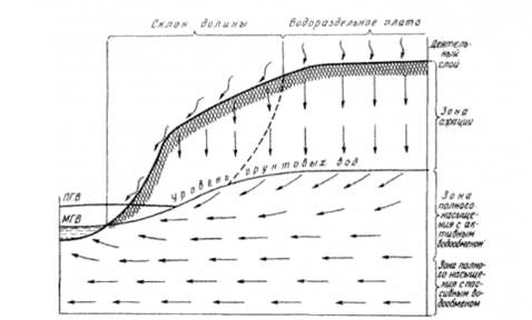 схема циркуляции подземных вод при благоприятных условиях инфильтрации осадков (пгв - паводковый, мгв - меженный