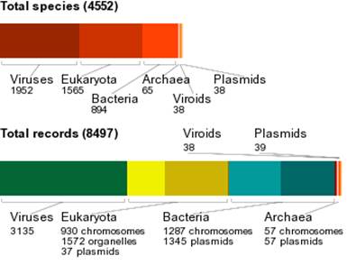 число расшифрованных геномов на январь 2008
