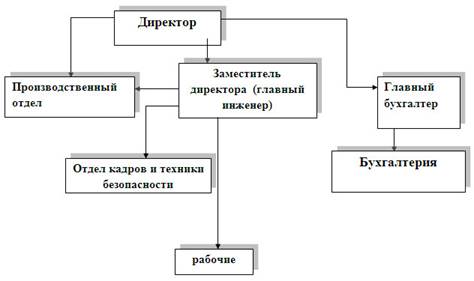 организационная структура ао 