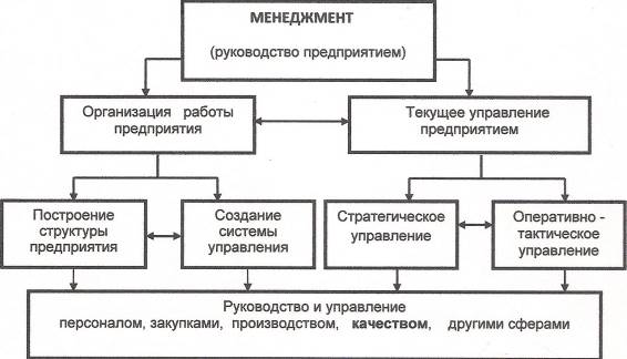 структура менеджмента качества предприятия
