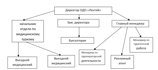 структура управления турагентства 