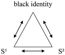 позиционирование субъектов относительно афроамериканской идентичности