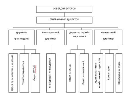 организационная структура управления ооо 