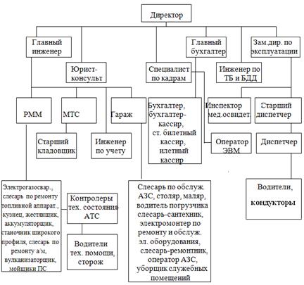 схема организационной структуры ооо 