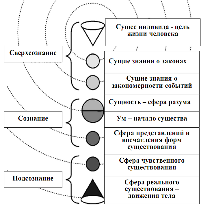 модель основных сфер функционально-коммуникативной деятельности человека одушевленного и последовательно-иерархического взаимодействия с ними законов коммуникации