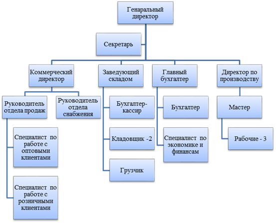 действующая организационная структура 
