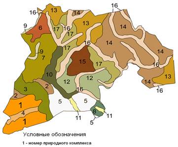 ландшафтная структура тогульского района