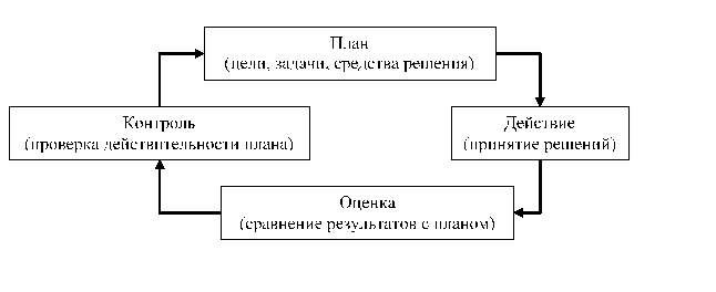 структура управления ооо 