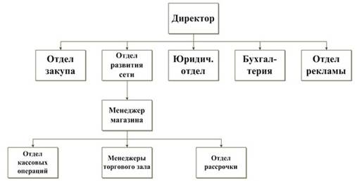 организационная структура подразделения ооо 