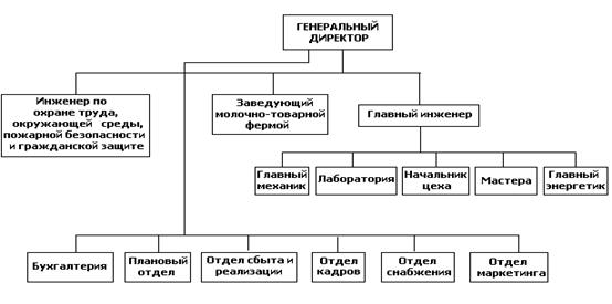 организационная структура управления оао 