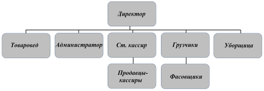 организационная структура магазина 