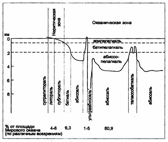 вертикальная экологическая зональность океана (по н.ф. реймерсу, 1990)