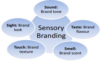 sensory branding components