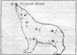 созвездие малой медведицы в виде белого медведя