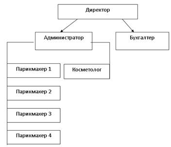 структура управления салона 