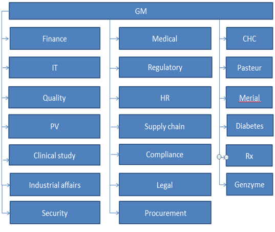 организационная структура компании (франция)