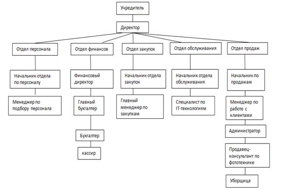 структура подразделения ооо 