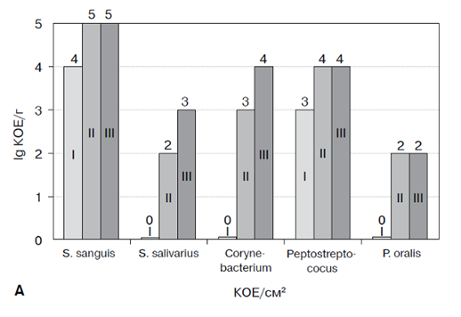 динамика количества бактерий на протезах, изготовленных из полиуретана денталур. i - 1-е сутки; ii - 7-е сутки; iii - 12-е сутки. важнейшие стабилизирующие виды (роды)