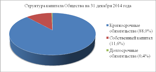 структура капитала общества на 31 декабря 2014 года. (%)