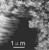 матрицы из нанотрубок bifeo3