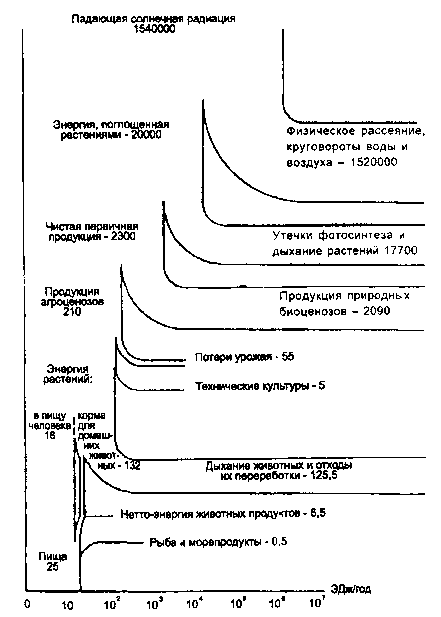 поток солнечной энергии на земле и ее трансформации (по т. а. акимовой, в. в. хаскину, 1994) примечание