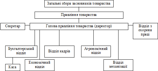 організаційна структура управління тов 