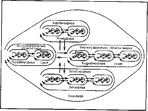 принципиальная схема биологического (биотического) круговорота (по к. ф. реймерсу, 1990)