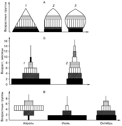 возрастная структура популяций у животных (по ю. одуму, 1975; в.ф. осадчих и е.а. яблонской, 1968)