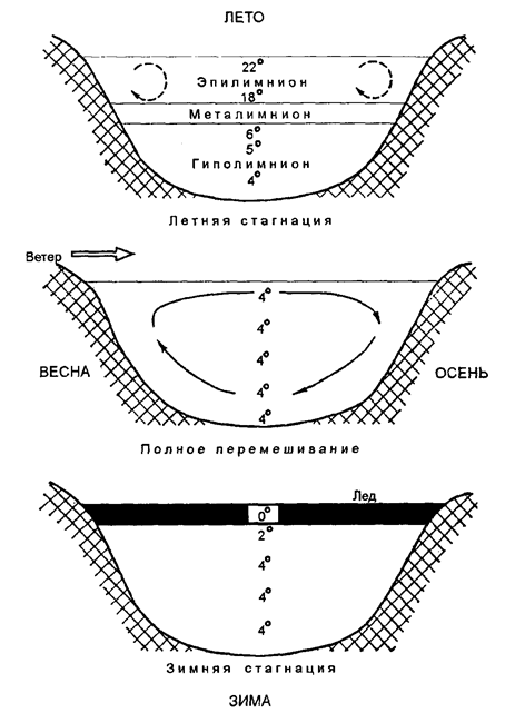 стратификация и перемешивание воды в озере (по э. гюнтеру и др., 1982)
