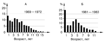 возрастная структура таймырской популяции дикого северного оленя в период умеренного (а) и чрезмерного (б) охотничьего промысла (по а.а. колпащикову, 2000)