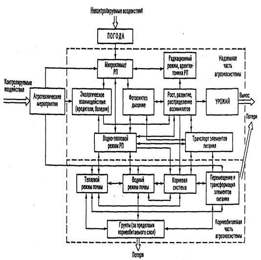 блок-схема продуктивности агроэкосистем