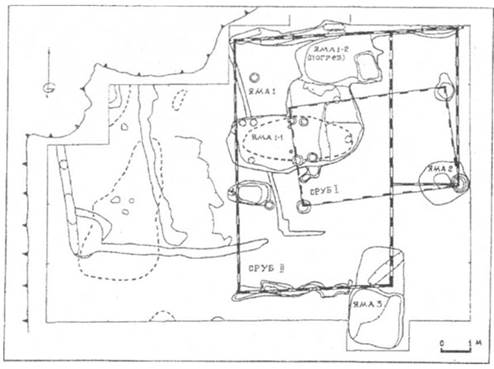 план первого раскопанного участка по материку