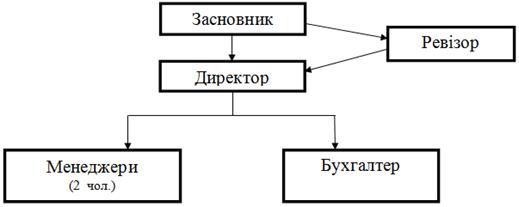 організаційна структура управління пп 