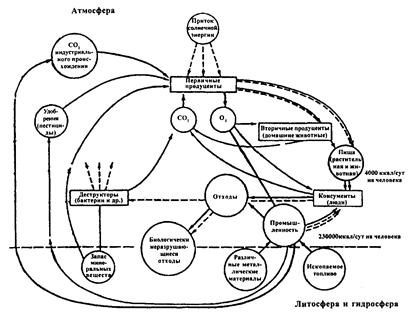 поток энергии и круговорот вещества в современном промышленно развитом обществе (по ф. рамаду, 1981)