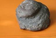 лепешковидная глинисто-сидеритовая конкреция, размером 10х12 см