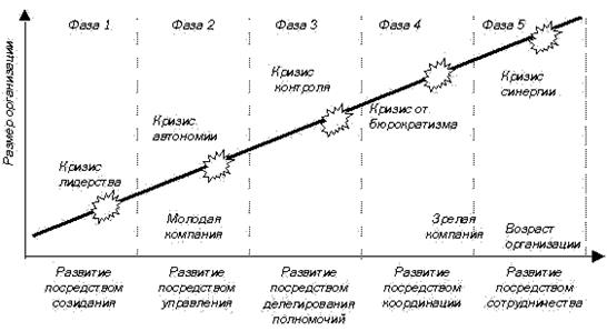 модель организационного развития л. грейнера