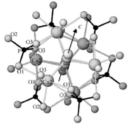 координационное окружение ионов кальция в структуре гидроксиапатита