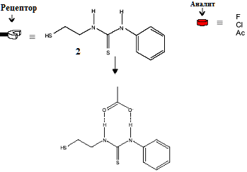 рецептор 1-(2-меркаптоэтил)-3-фенил-тиомочевина