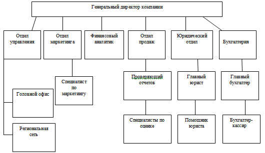 организационная структура тоо 