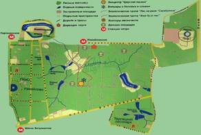 карта-схема измайловского лесопарка и выбранные 4 пробных участка