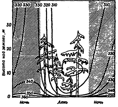 суточные изменения вертикального профиля концентрации со в воздухе леса (из в. лархера, 1978)