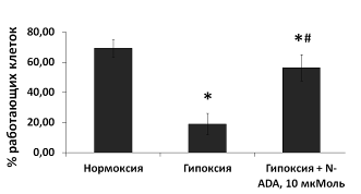 влияние n-арахидоноилдофамина на спонтанную кальциевую активность клеток гиппокампа через 7 суток после острой нормобарической гипоксии