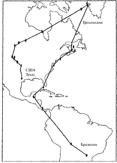 маршрут весеннего перелета (1995 г.) самца сокола-сапсана по данным argos