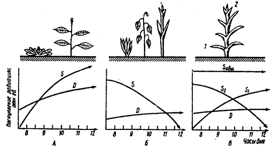 поступление прямой (s) и рассеянной (д) солнечной радиации к растениям с горизонтальными (а), вертикальными (б) и различно ориентированными (в) листьями (по и. а. шульгину, 1967)