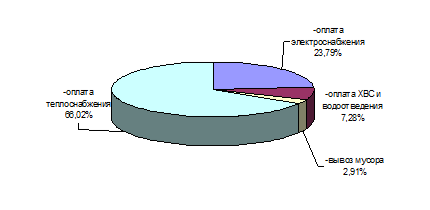 структура расходов на оплату коммунальных услуг в 2013 году, %