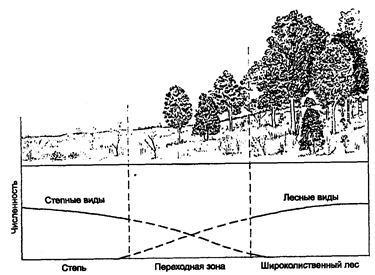 переходные пограничные зоны между биоценозами (по б. небелу, 1993)