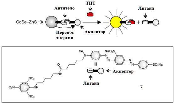 взаимодействие тнт с антителом отдаляет акцептор 8 от кт, предотвращая перенос энергии и 