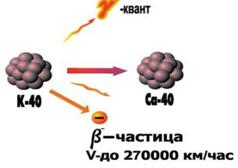 в - распад радиоактивного изотопа калия-40 с превращением его в стабильный изотоп кальция-40 (http://nuclearno.ru)